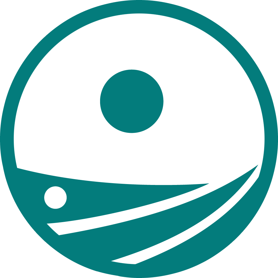 MSP Challenge logo